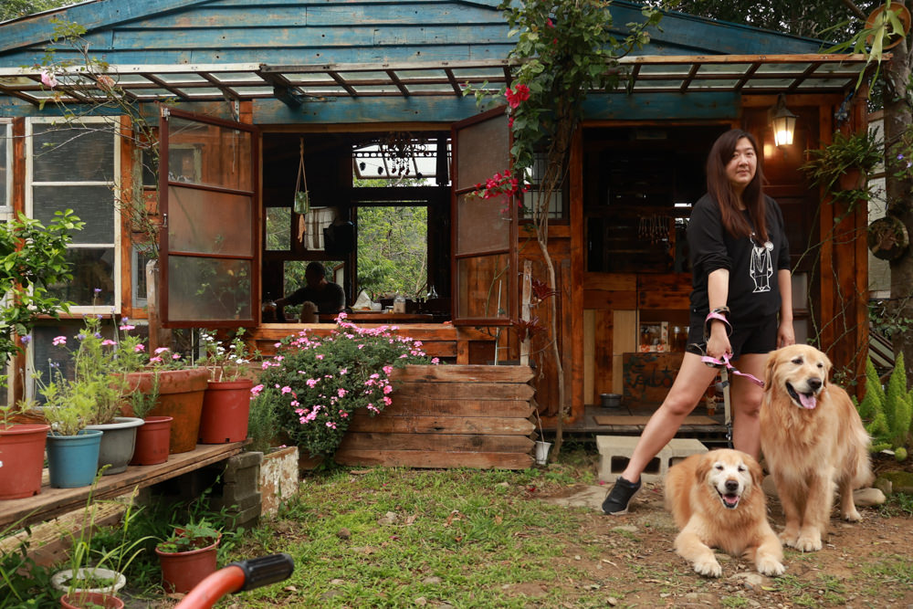 桃園龍潭咖啡廳|青山吉田。橘子園中的秘境廢墟風咖啡廳、寵物友善餐廳、預約制、桃園龍潭景點、冬天還有圍爐煮茶烤橘子 - 第31張圖 桃園龍潭咖啡廳|青山吉田。橘子園中的秘境廢墟風咖啡廳、寵物友善餐廳、預約制、桃園龍潭景點、冬天還有圍爐煮茶烤橘子