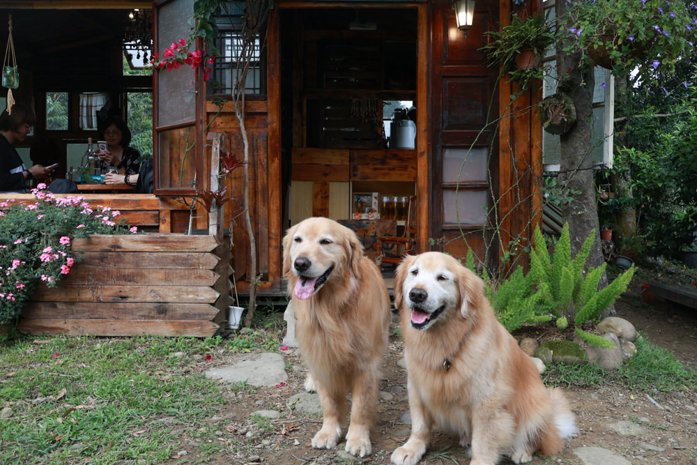 桃園龍潭咖啡廳|青山吉田。橘子園中的秘境廢墟風咖啡廳、寵物友善餐廳、預約制、桃園龍潭景點、冬天還有圍爐煮茶烤橘子 - 第7張圖 桃園龍潭咖啡廳|青山吉田。橘子園中的秘境廢墟風咖啡廳、寵物友善餐廳、預約制、桃園龍潭景點、冬天還有圍爐煮茶烤橘子
