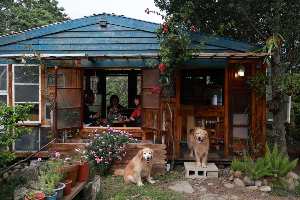 桃園龍潭咖啡廳|青山吉田。橘子園中的秘境廢墟風咖啡廳、寵物友善餐廳、預約制、桃園龍潭景點、冬天還有圍爐煮茶烤橘子 - 第8張圖 桃園龍潭咖啡廳|青山吉田。橘子園中的秘境廢墟風咖啡廳、寵物友善餐廳、預約制、桃園龍潭景點、冬天還有圍爐煮茶烤橘子