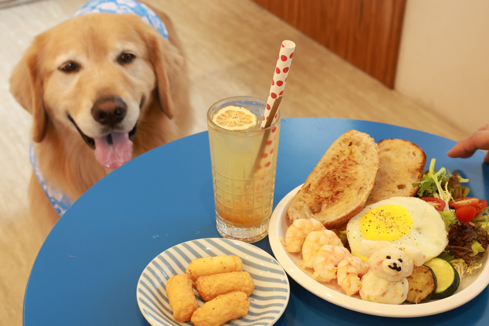 好運站Haooyun Station｜萬華美食、台北寵物友善餐廳、韓系咖啡廳早午餐、冰花煎餃、豬腳飯