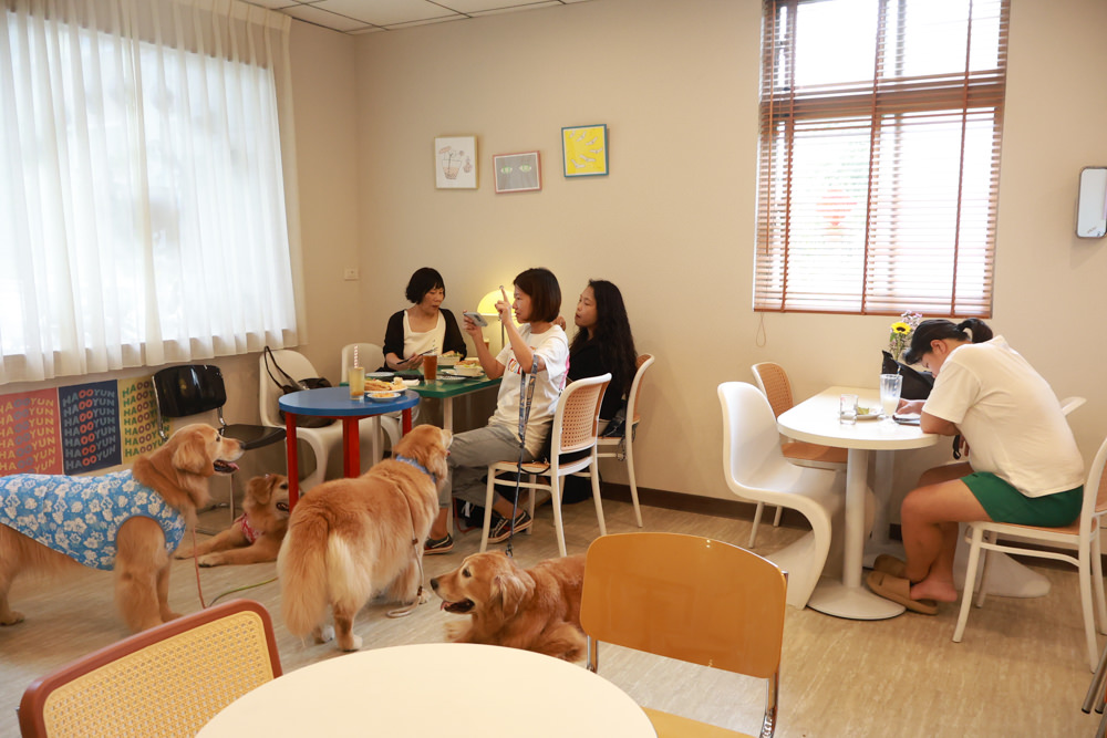 好運站Haooyun Station｜萬華美食、台北寵物友善餐廳、韓系咖啡廳早午餐、冰花煎餃、豬腳飯
