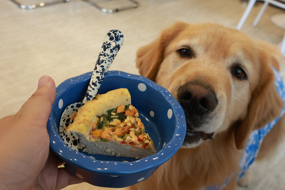 好運站Haooyun Station｜萬華美食、台北寵物友善餐廳、韓系咖啡廳早午餐、冰花煎餃、豬腳飯