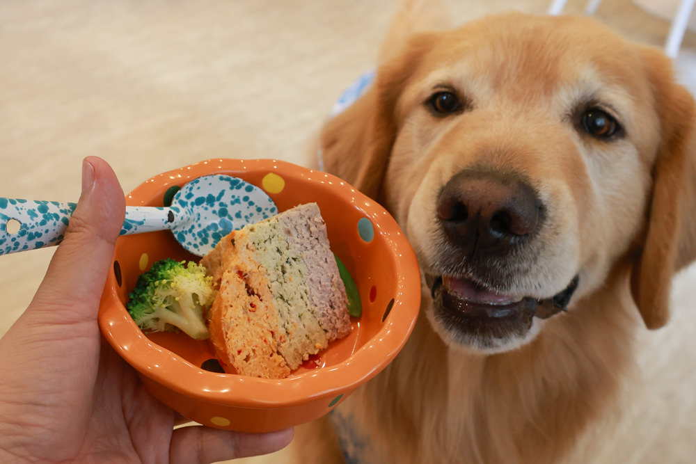 好運站Haooyun Station｜萬華美食、台北寵物友善餐廳、韓系咖啡廳早午餐、冰花煎餃、豬腳飯