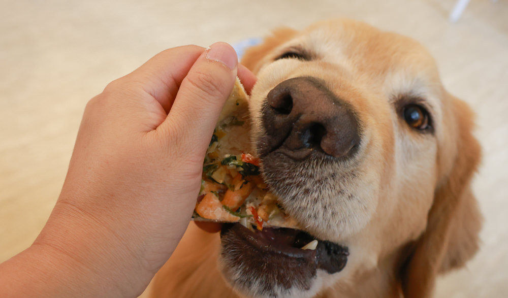 好運站Haooyun Station｜萬華美食、台北寵物友善餐廳、韓系咖啡廳早午餐、冰花煎餃、豬腳飯