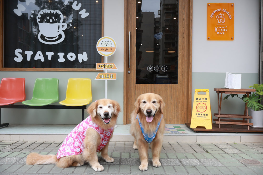 好運站Haooyun Station｜萬華美食、台北寵物友善餐廳、韓系咖啡廳早午餐、冰花煎餃、豬腳飯