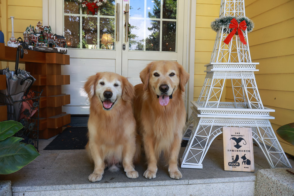 朱里昂法式廚房陽明山店｜台北美食、台北寵物友善餐廳、陽明山草山小鎮、陽明山美軍俱樂部