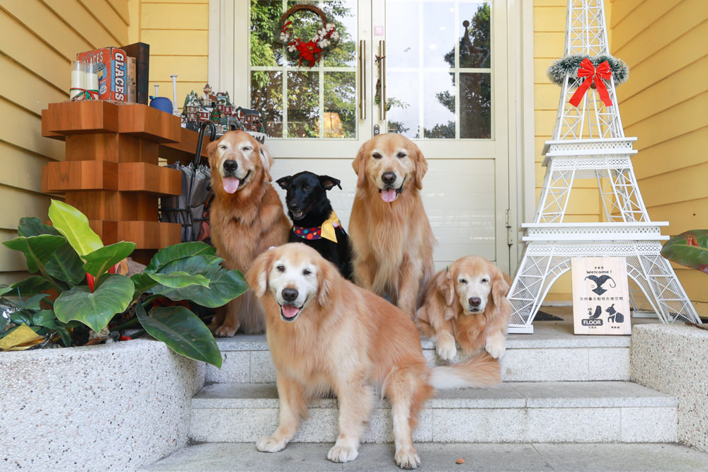 朱里昂法式廚房陽明山店｜台北美食、台北寵物友善餐廳、陽明山草山小鎮、陽明山美軍俱樂部