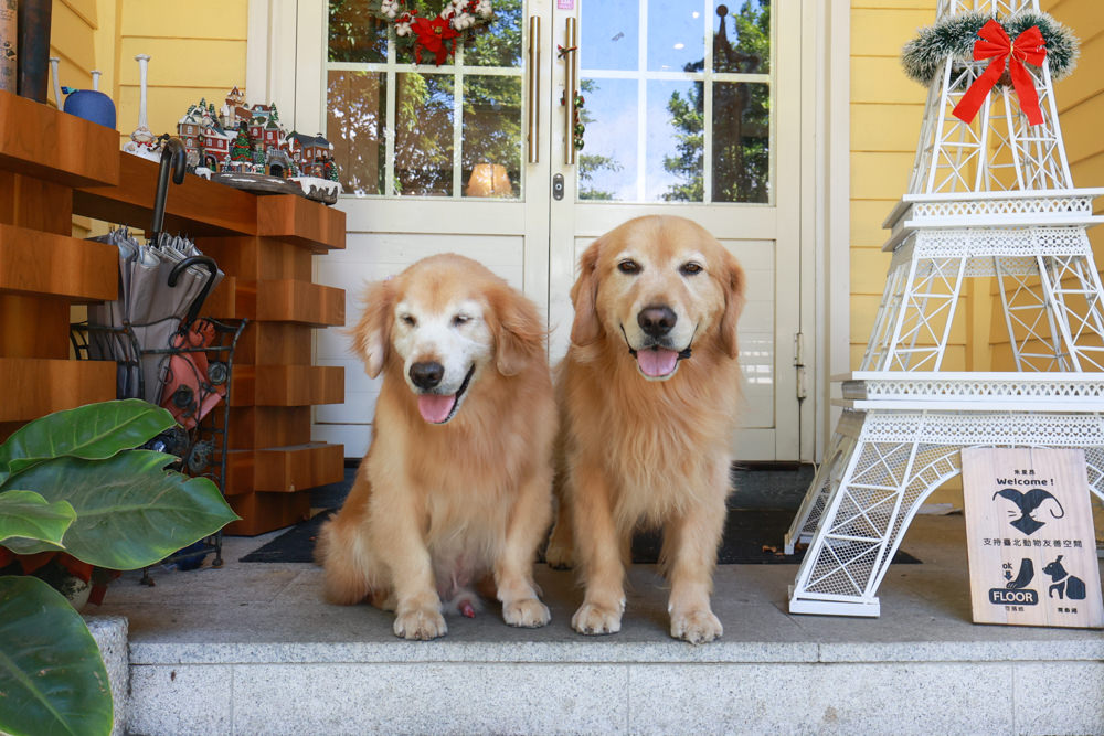 朱里昂法式廚房陽明山店｜台北美食、台北寵物友善餐廳、陽明山草山小鎮、陽明山美軍俱樂部