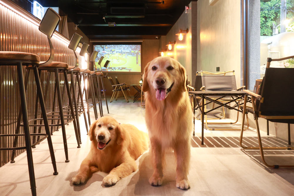 桃園蘆竹美食｜民權拾酒。野奢露營風餐酒館、寵物友善餐廳、專屬KTV包廂、桃園餐酒館、露營風酒吧