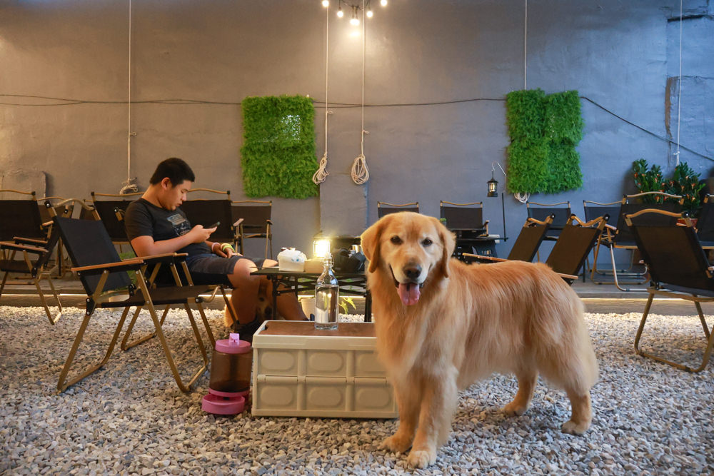桃園蘆竹美食｜民權拾酒。野奢露營風餐酒館、寵物友善餐廳、專屬KTV包廂、桃園餐酒館、露營風酒吧