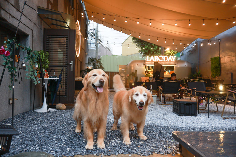 桃園蘆竹美食｜民權拾酒。野奢露營風餐酒館、寵物友善餐廳、專屬KTV包廂、桃園餐酒館、露營風酒吧