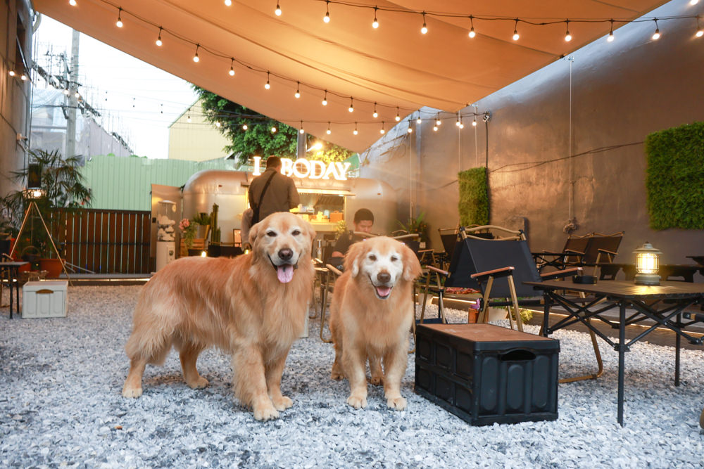 桃園蘆竹美食｜民權拾酒。野奢露營風餐酒館、寵物友善餐廳、專屬KTV包廂、桃園餐酒館、露營風酒吧