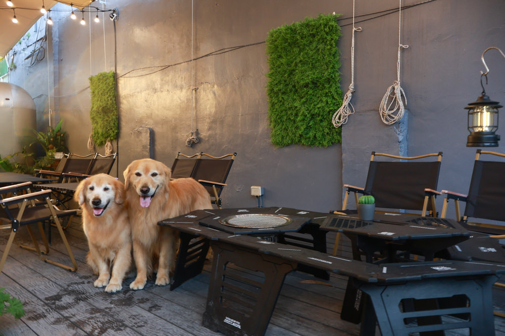 桃園蘆竹美食｜民權拾酒。野奢露營風餐酒館、寵物友善餐廳、專屬KTV包廂、桃園餐酒館、露營風酒吧