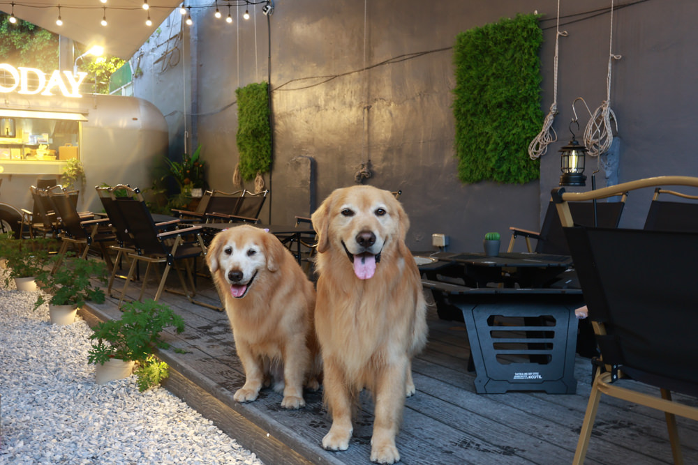 桃園蘆竹美食｜民權拾酒。野奢露營風餐酒館、寵物友善餐廳、專屬KTV包廂、桃園餐酒館、露營風酒吧