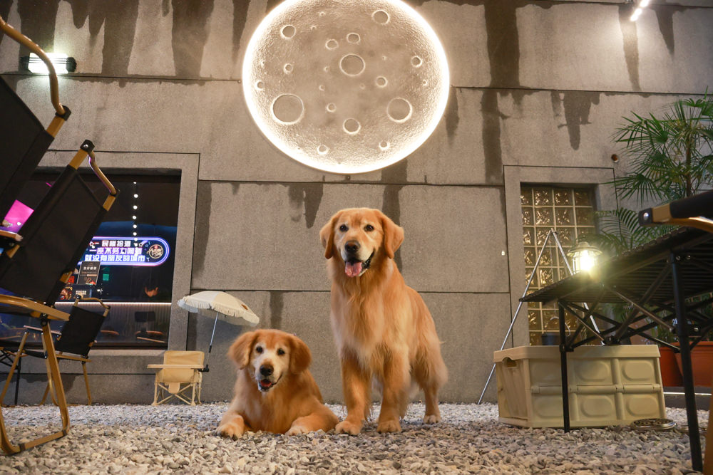 桃園蘆竹美食｜民權拾酒。野奢露營風餐酒館、寵物友善餐廳、專屬KTV包廂、桃園餐酒館、露營風酒吧