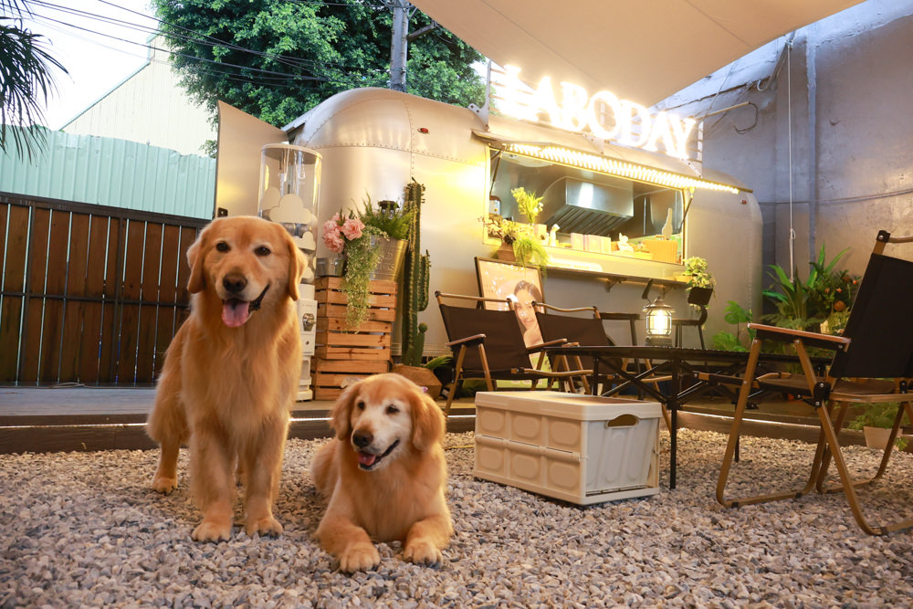 桃園蘆竹美食｜民權拾酒。野奢露營風餐酒館、寵物友善餐廳、專屬KTV包廂、桃園餐酒館、露營風酒吧