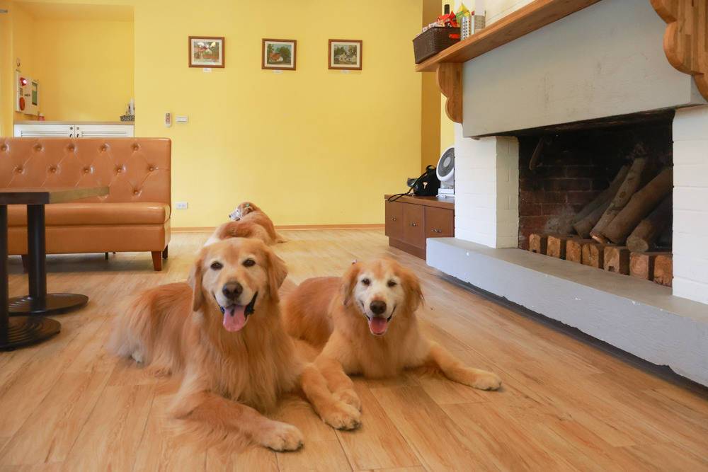 台北住宿｜陽明山美國度假村American Village。寵物友善民宿、整修翻新懷舊風情的美軍宿舍、美式洋房