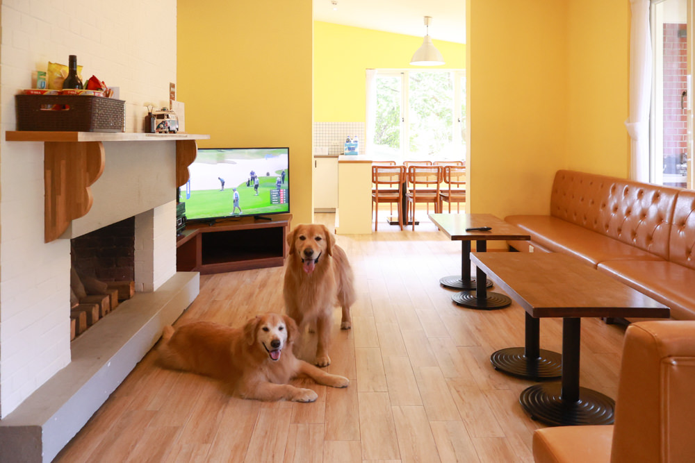 台北住宿｜陽明山美國度假村American Village。寵物友善民宿、整修翻新懷舊風情的美軍宿舍、美式洋房