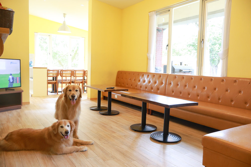 台北寵物友善民宿推薦,佩托邦文章,台北住宿|陽明山美國度假村American Village。寵物友善民宿、整修翻新懷舊風情的美軍宿舍、美式洋房– 洛基小聿媽