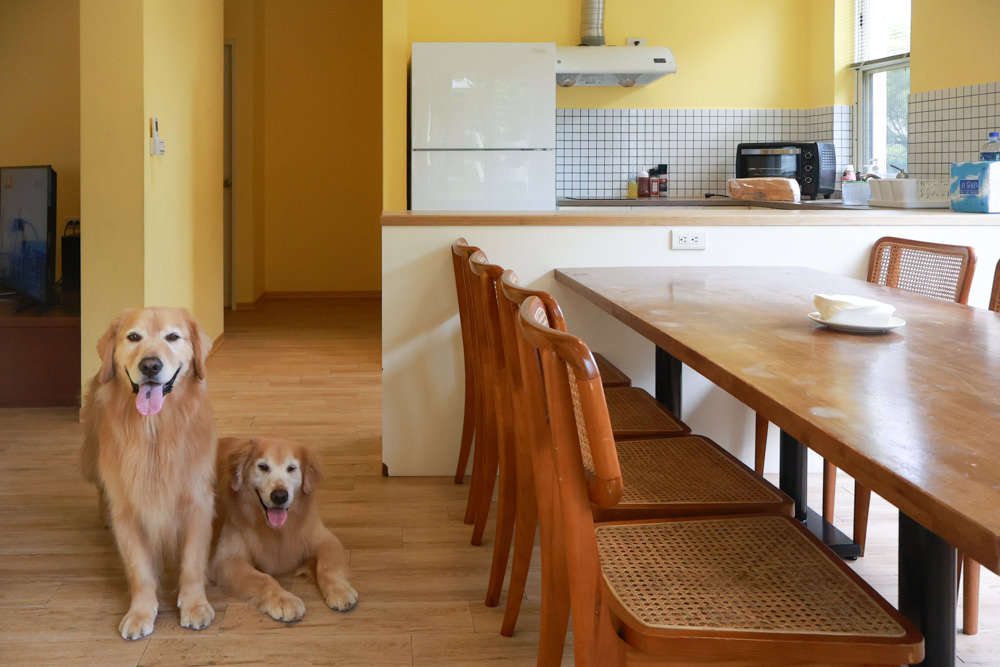 台北住宿｜陽明山美國度假村American Village。寵物友善民宿、整修翻新懷舊風情的美軍宿舍、美式洋房