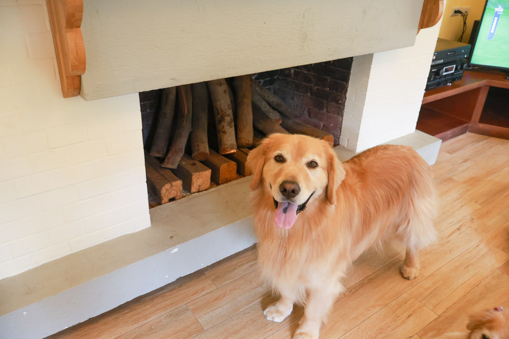 台北住宿｜陽明山美國度假村American Village。寵物友善民宿、整修翻新懷舊風情的美軍宿舍、美式洋房