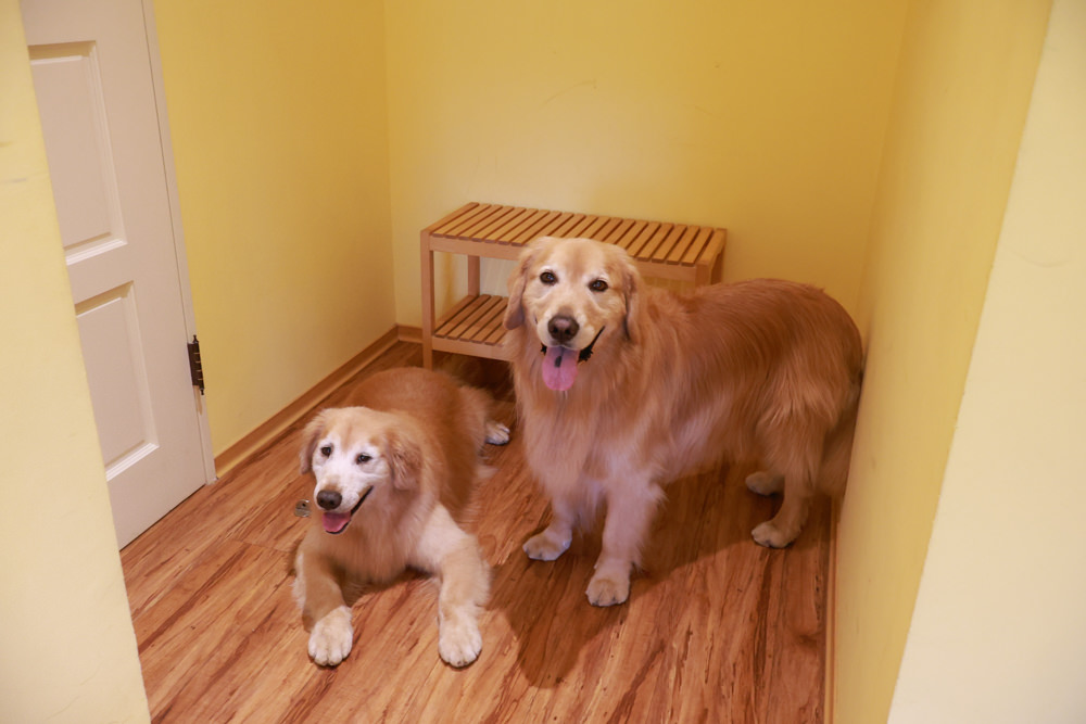 台北住宿｜陽明山美國度假村American Village。寵物友善民宿、整修翻新懷舊風情的美軍宿舍、美式洋房