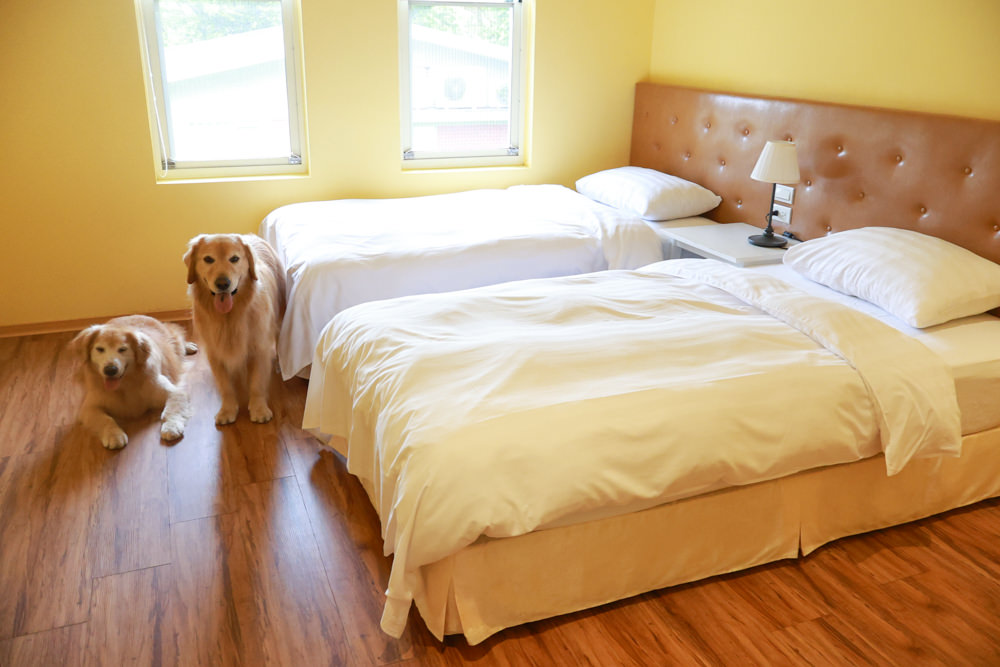 台北住宿｜陽明山美國度假村American Village。寵物友善民宿、整修翻新懷舊風情的美軍宿舍、美式洋房