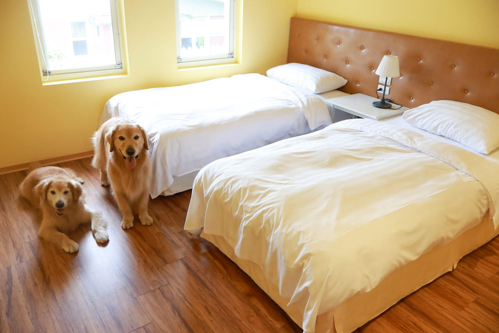 台北住宿｜陽明山美國度假村American Village。寵物友善民宿、整修翻新懷舊風情的美軍宿舍、美式洋房