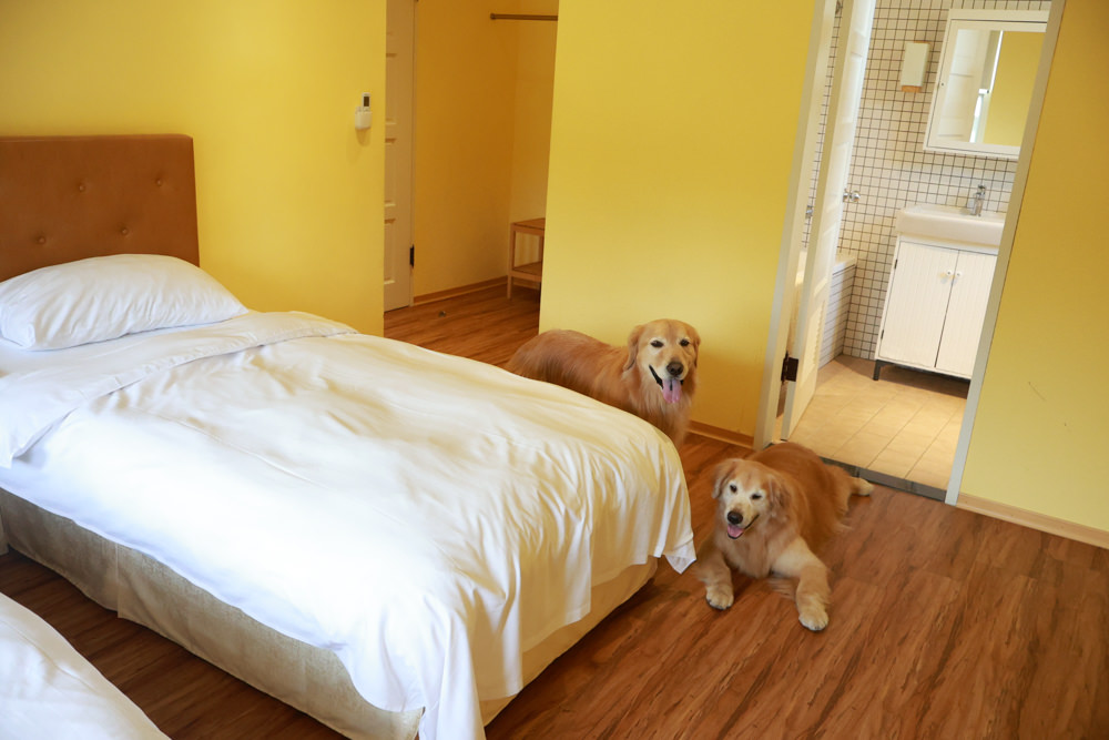 台北住宿｜陽明山美國度假村American Village。寵物友善民宿、整修翻新懷舊風情的美軍宿舍、美式洋房