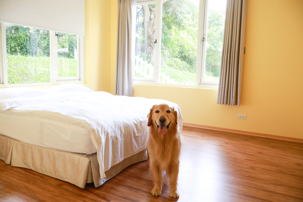 台北住宿｜陽明山美國度假村American Village。寵物友善民宿、整修翻新懷舊風情的美軍宿舍、美式洋房