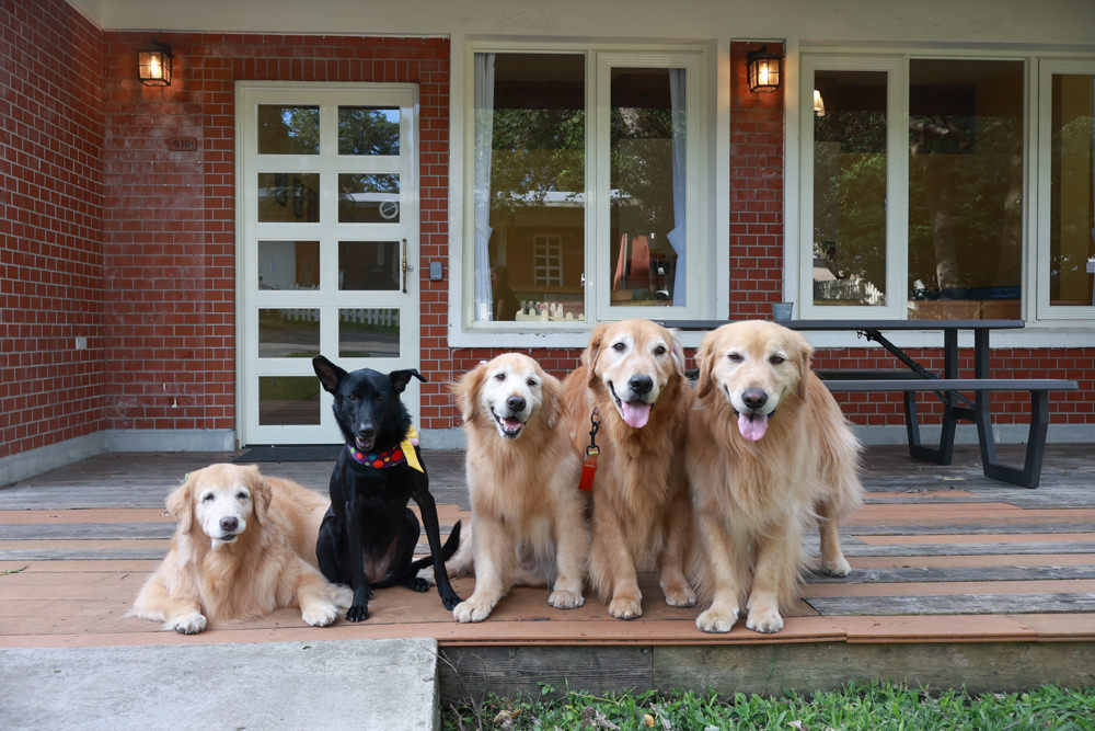 台北住宿｜陽明山美國度假村American Village。寵物友善民宿、整修翻新懷舊風情的美軍宿舍、美式洋房
