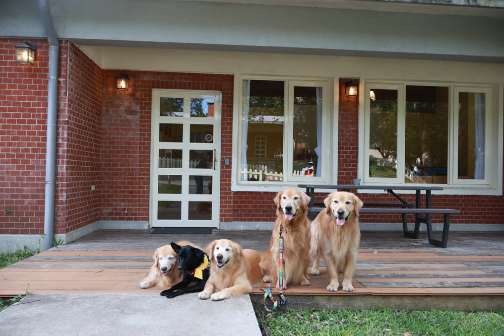 台北住宿｜陽明山美國度假村American Village。寵物友善民宿、整修翻新懷舊風情的美軍宿舍、美式洋房