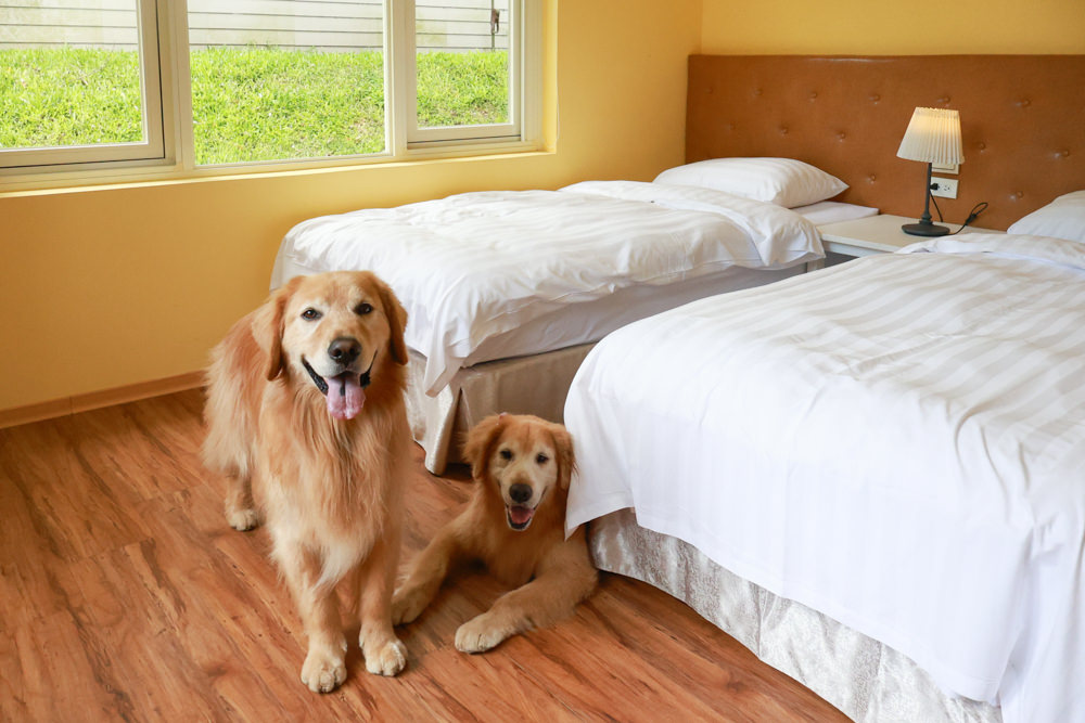 台北住宿｜陽明山美國度假村American Village。寵物友善民宿、整修翻新懷舊風情的美軍宿舍、美式洋房