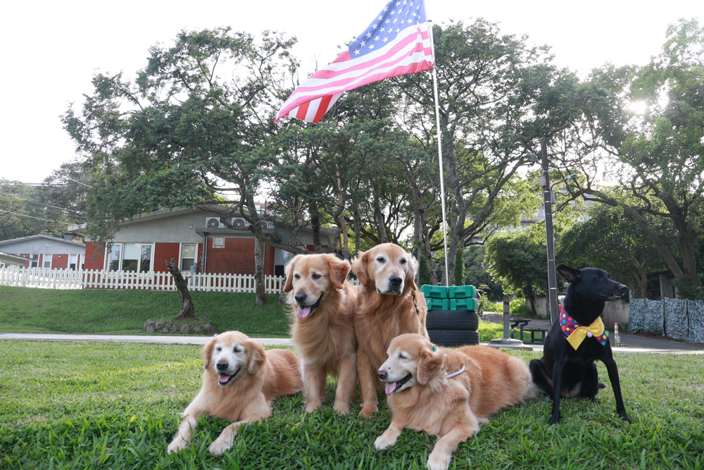 台北住宿｜陽明山美國度假村American Village。寵物友善民宿、整修翻新懷舊風情的美軍宿舍、美式洋房
