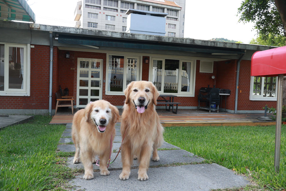 台北住宿｜陽明山美國度假村American Village。寵物友善民宿、整修翻新懷舊風情的美軍宿舍、美式洋房