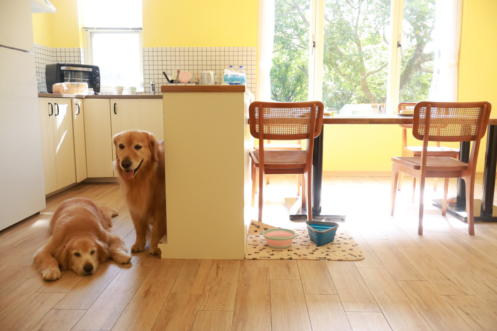 台北住宿｜陽明山美國度假村American Village。寵物友善民宿、整修翻新懷舊風情的美軍宿舍、美式洋房