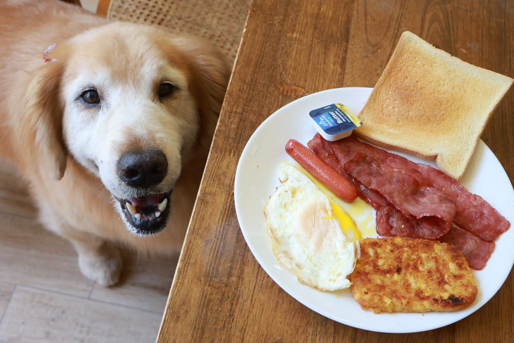 台北住宿｜陽明山美國度假村American Village。寵物友善民宿、整修翻新懷舊風情的美軍宿舍、美式洋房