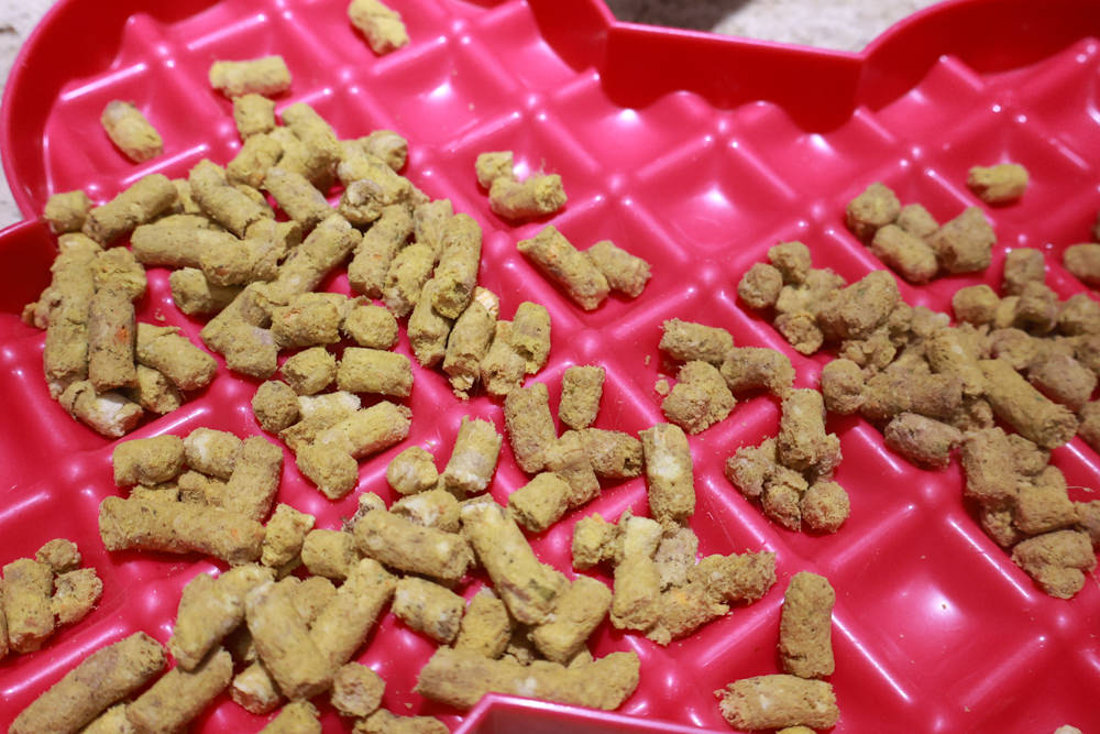 Frontier悅緻原凍低敏原肉狗凍乾｜澳洲評價最高的寵物生食凍乾、100％放養鮮肉蛋白質、澳洲製造乾燥生食