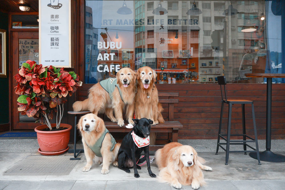 南投草屯美食|BUBU ART CAFE橘子布藝術咖啡。寵物友善餐廳、世界名畫油畫吐司、寵物友善咖啡廳 - 第1張圖 南投草屯美食|BUBU ART CAFE橘子布藝術咖啡。寵物友善餐廳、世界名畫油畫吐司、寵物友善咖啡廳