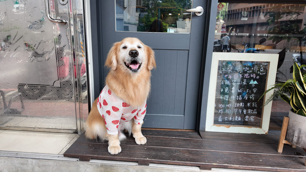 新北新店美食|桑ㄛ咖啡 Sang Ou Cafe。寵物友善、新店景觀餐廳、隱身巷弄中的療癒咖啡廳、新店碧潭早午餐 - 第1張圖 新北新店美食|桑ㄛ咖啡 Sang Ou Cafe。寵物友善、新店景觀餐廳、隱身巷弄中的療癒咖啡廳、新店碧潭早午餐