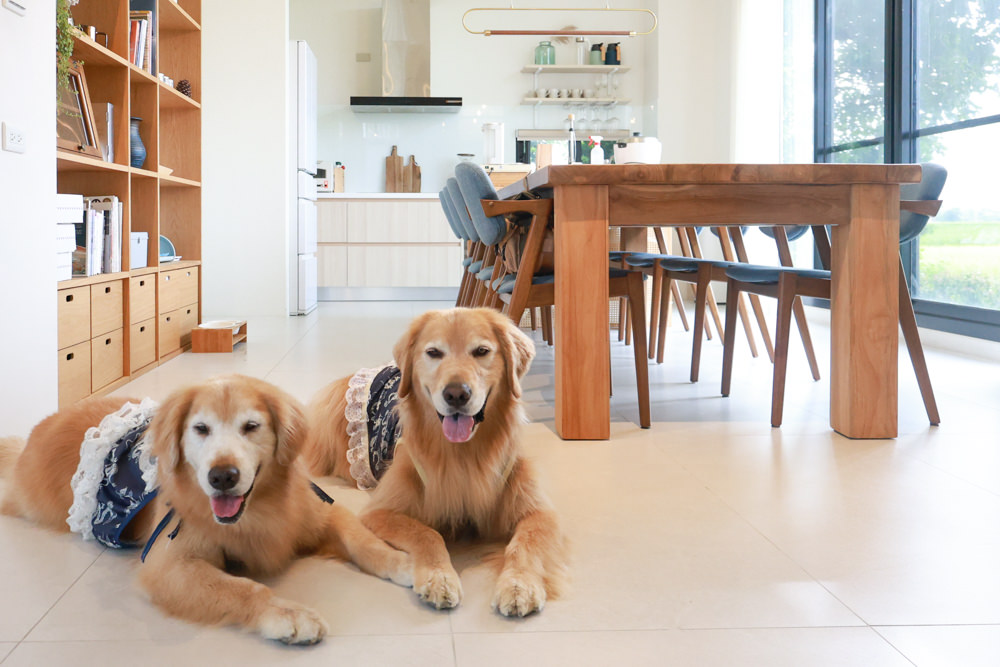 宜蘭三星寵物友善民宿｜根本家民宿。宜蘭包棟民宿、獨棟農舍、大草皮  小K咖啡民宿