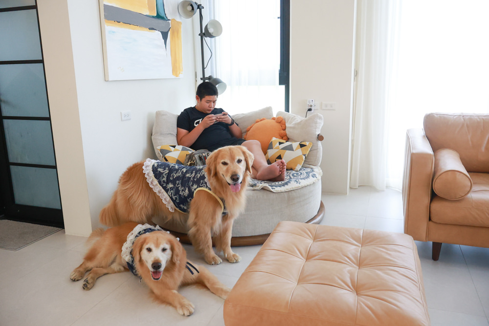 宜蘭三星寵物友善民宿｜根本家民宿。宜蘭包棟民宿、獨棟農舍、大草皮  小K咖啡民宿