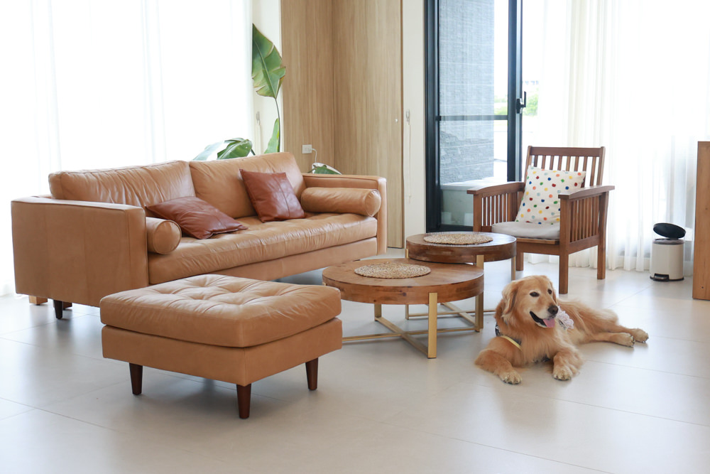 宜蘭三星寵物友善民宿｜根本家民宿。宜蘭包棟民宿、獨棟農舍、大草皮  小K咖啡民宿