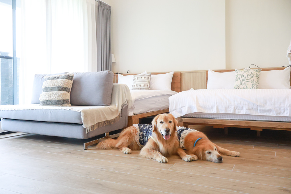 宜蘭三星寵物友善民宿｜根本家民宿。宜蘭包棟民宿、獨棟農舍、大草皮  小K咖啡民宿