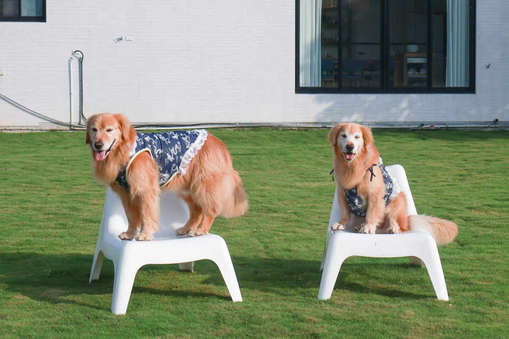 宜蘭三星寵物友善民宿｜根本家民宿。宜蘭包棟民宿、獨棟農舍、大草皮  小K咖啡民宿