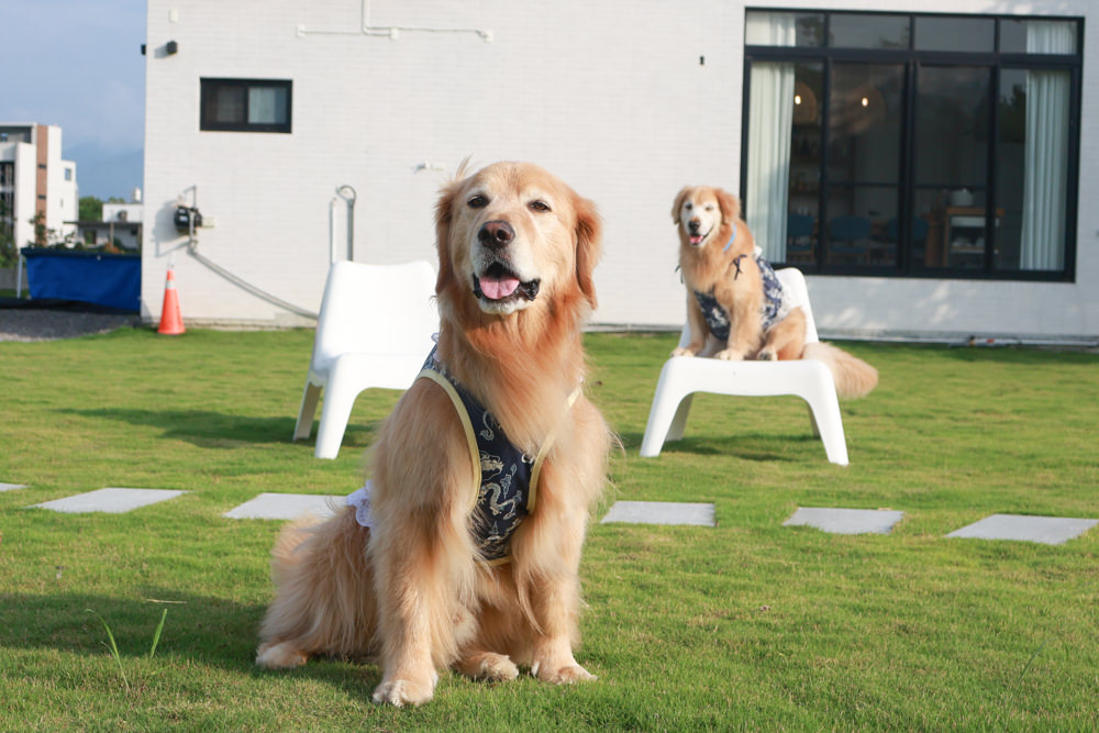 宜蘭三星寵物友善民宿｜根本家民宿。宜蘭包棟民宿、獨棟農舍、大草皮  小K咖啡民宿