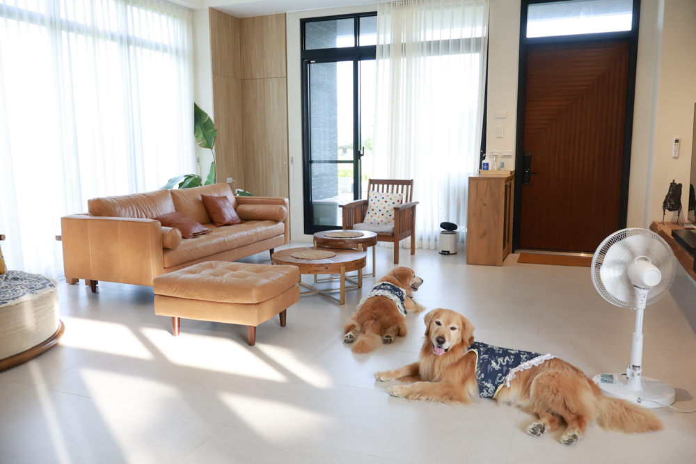 宜蘭三星寵物友善民宿｜根本家民宿。宜蘭包棟民宿、獨棟農舍、大草皮  小K咖啡民宿