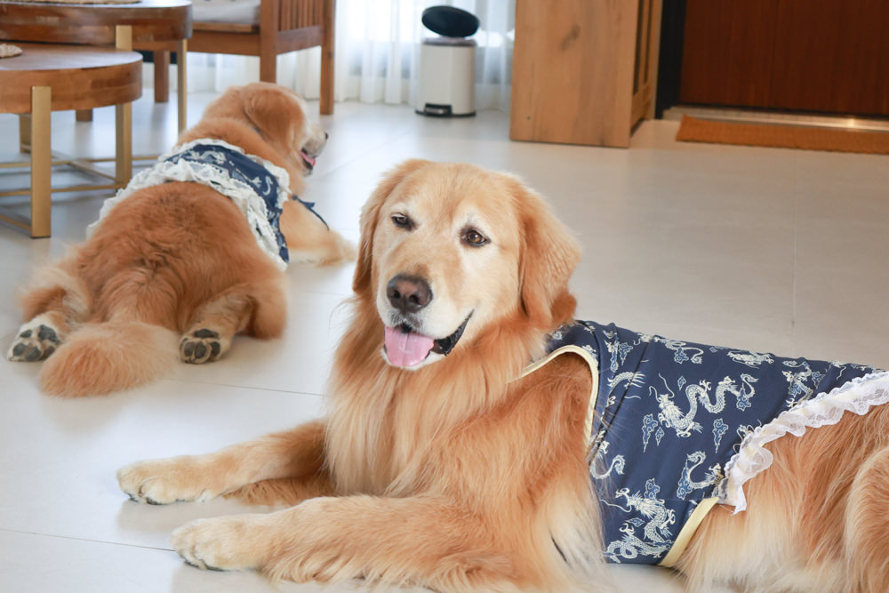 宜蘭三星寵物友善民宿｜根本家民宿。宜蘭包棟民宿、獨棟農舍、大草皮  小K咖啡民宿