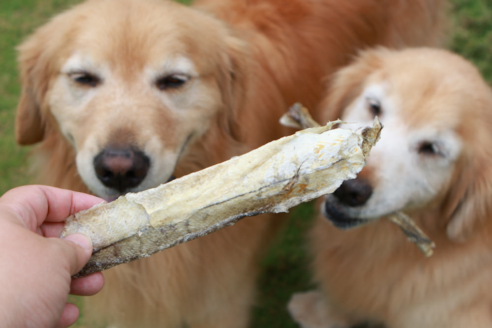 Polkadog搖擺船長美國手工寵物零食｜嚴選美國波士頓漁人碼頭、農場在地食材、手工製作、哈達克鱈魚皮、手工捲鱈魚皮、香蕉花生蛋糕趣