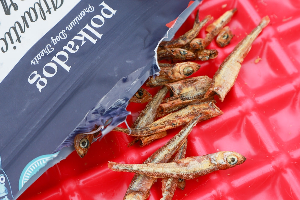 Polkadog搖擺船長美國手工寵物零食｜嚴選美國波士頓漁人碼頭、農場在地食材、手工製作、哈達克鱈魚皮、手工捲鱈魚皮、香蕉花生蛋糕趣